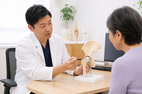 股関節の痛みについて股関節模型で説明を受ける様子